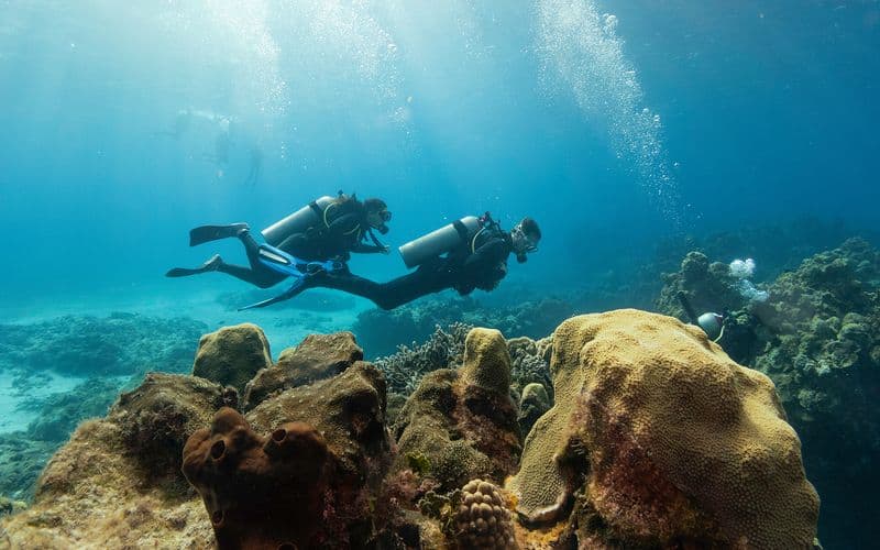 Scuba Diving at the Gulf of Catania