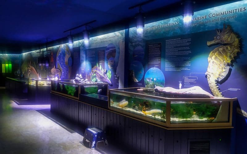 Billets pour l'aquarium Vasco da Gama à Lisbonne