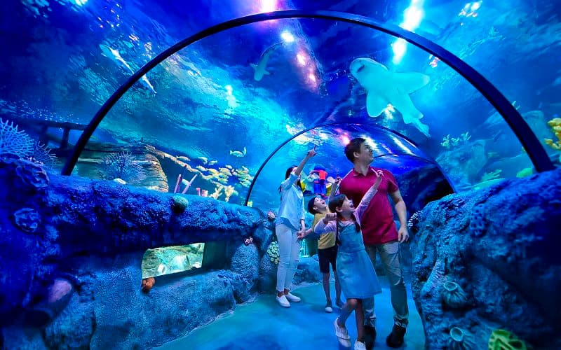 Billet LEGOLAND® Malaysia SEA LIFE