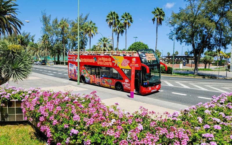 City Sightseeing : Las Palmas Hop-On Hop-Off bus tour en bus Hop-On Hop-Off