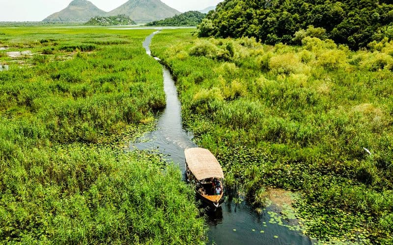 Billet Depuis Virpazar : Visite guidée en bateau du lac Skadar et monastère de Kom avec boissons