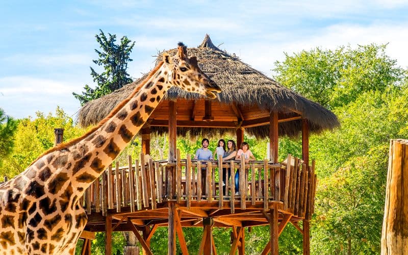 Billet Billets d'entrée au Zoo Aquarium de Madrid