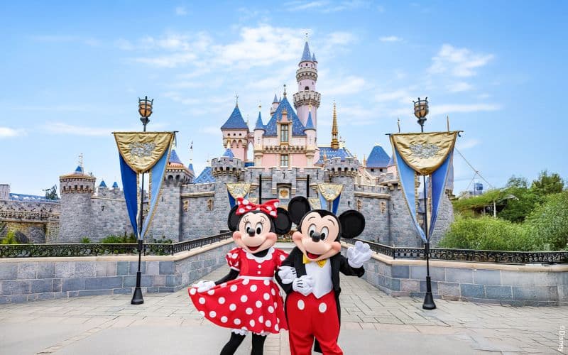 Billet Billets 1 jour pour Disneyland Californie