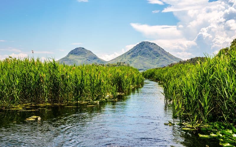 Billet Depuis Virpazar : Visite en bateau du lac Skadar avec boissons
