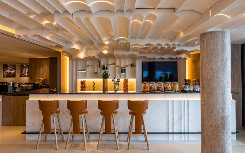 Billet Accès au salon Plaza Premium à l'aéroport international de Hong Kong : Salon standard