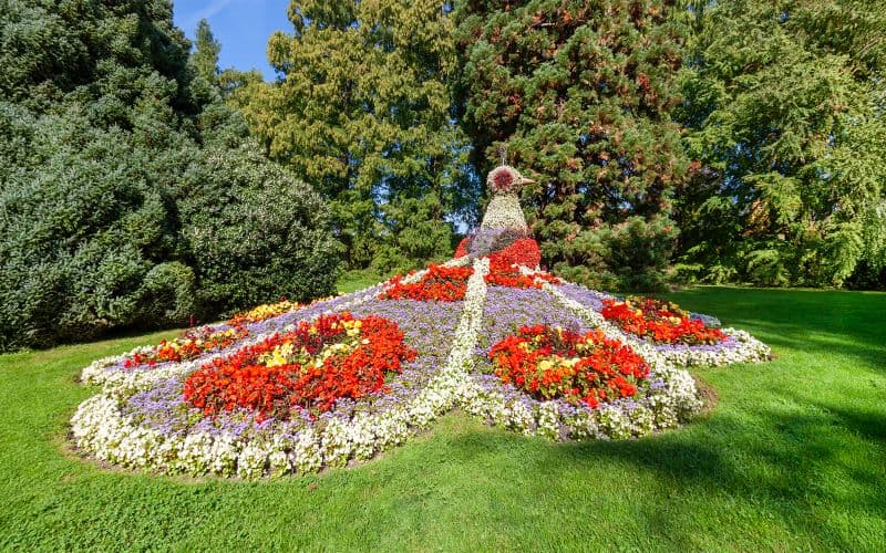 Billet Billets d'entrée pour l'île aux fleurs de Mainau sur le lac de Constance