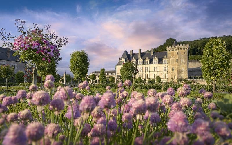 Billets pour les jardins du château de Villandry