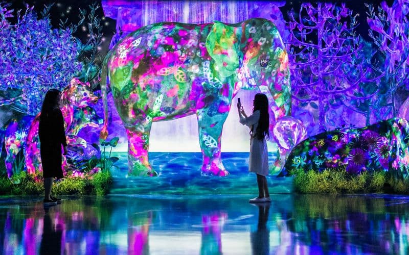 Billet Billets pour E・ZO FUKUOKA teamLab Forest