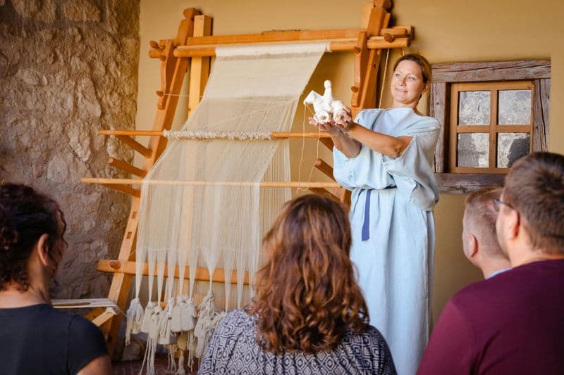 Billet Visite guidée de la ville romaine Carnuntum