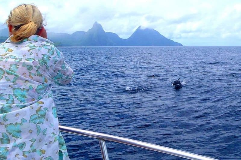 Croisière d'observation des baleines à Castries