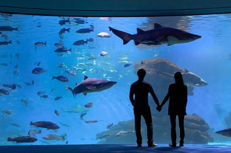 Billets pour l'Aquarium de Palma à Majorque