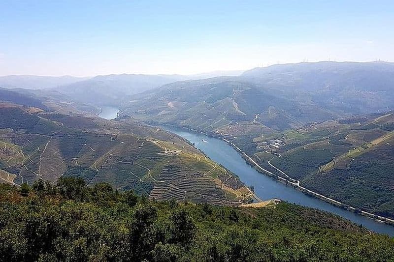 Excursion dans la vallée du Douro depuis Porto avec déjeuner, dégustation de vin et croisière