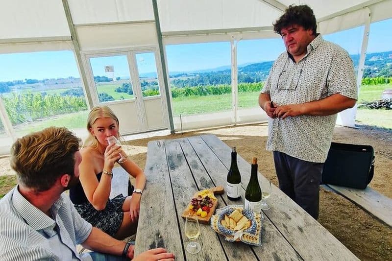 Visite privée de dégustation de vins depuis Cracovie