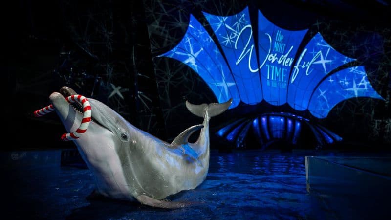 Billet Billets pour l'aquarium de Géorgie