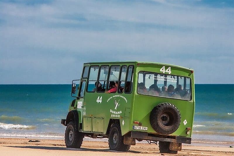 Billet Excursion au Parc National de Doñana, à El Rocío et à la falaise d'Asperillo depuis Séville