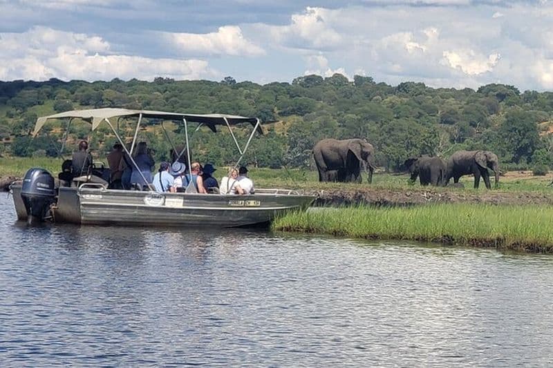 Billet Excursion au Parc National de Chobe depuis Livingstone