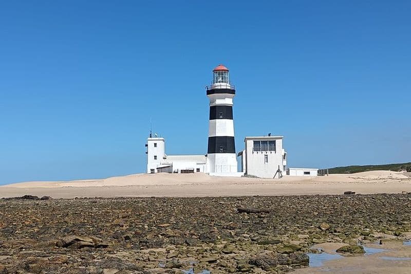 Billet Visite guidée côtière à Port Elizabeth