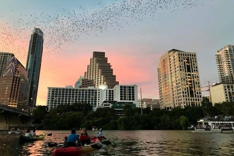 Balade en kayak pour observer les chauves-souris à Austin
