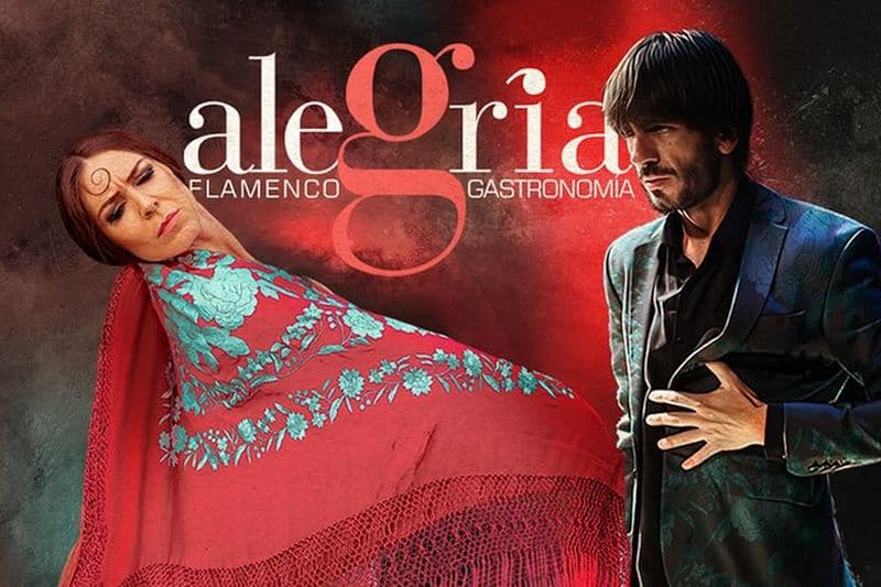 Billet Spectacle de flamenco au Tablao Alegría de Málaga