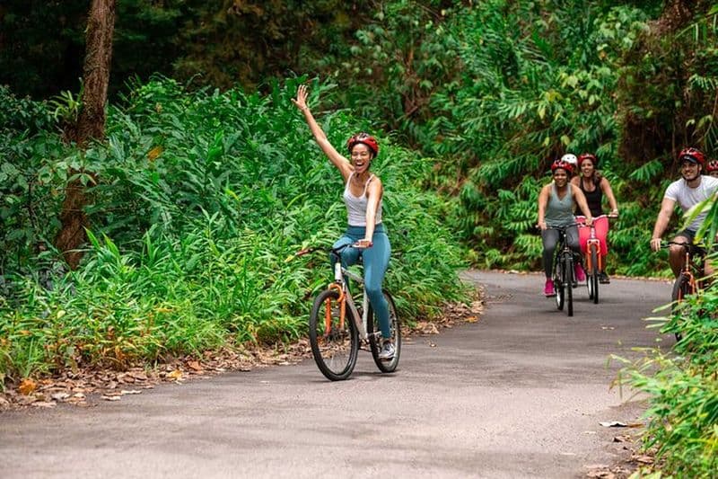 Excursion en vélo vers les Montagnes Bleues depuis Ocho Ríos
