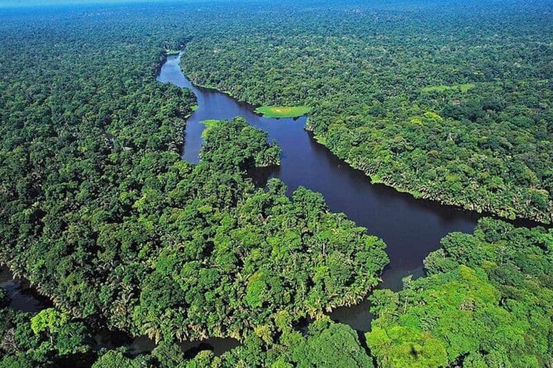 Billet Excursion de 3 jours au Parc National de Tortuguero depuis San José