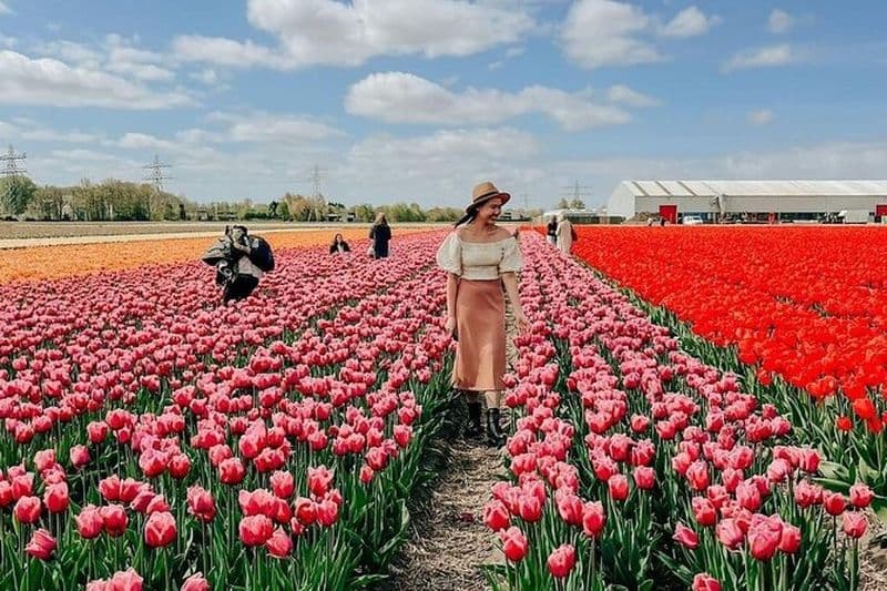 Billet Excursion à Keukenhof depuis Amsterdam avec croisière dans les moulins à vent
