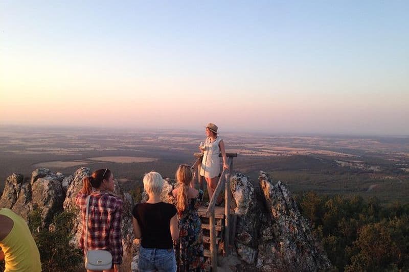 Billet Excursion à Ribera del Duero depuis Madrid en petit groupe
