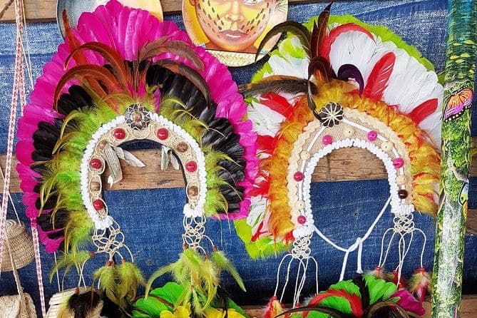 Billet Excursion à la Rencontre des Eaux depuis Manaus