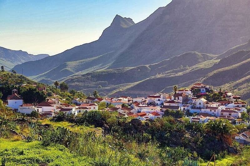 Billet Visite guidée de Gran Canaria avec visite d'une ferme d'aloès vera