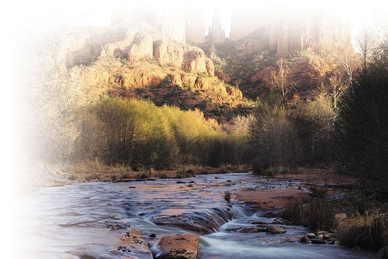 Billet Excursion d'une journée à Valley of Fire & au parc de Zion depuis Las Vegas