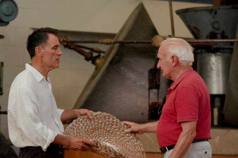 Billet Visite d'une oliveraie avec dégustation d'huile à Majorque