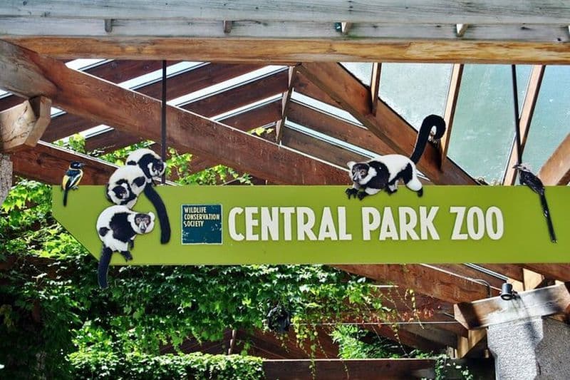 Visite guidée de Manhattan avec entrée au zoo de Central Park