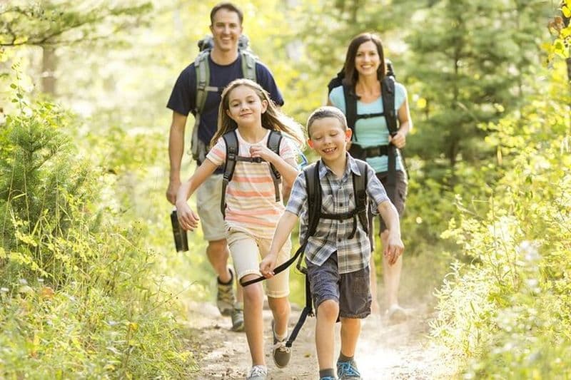 Excursion au Drakensberg, au lieu de capture de Mandela et aux chutes d'Howick depuis Durban