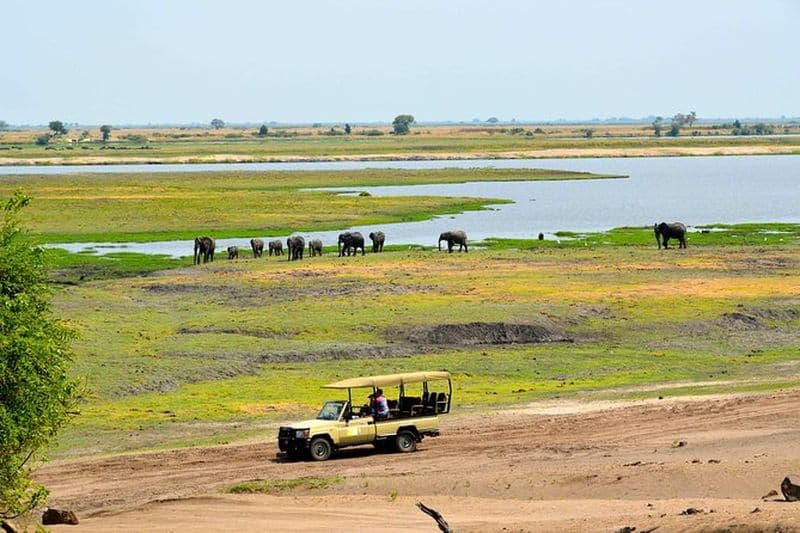 Billet Safari 4x4 dans le parc national de Chobe depuis Kasane