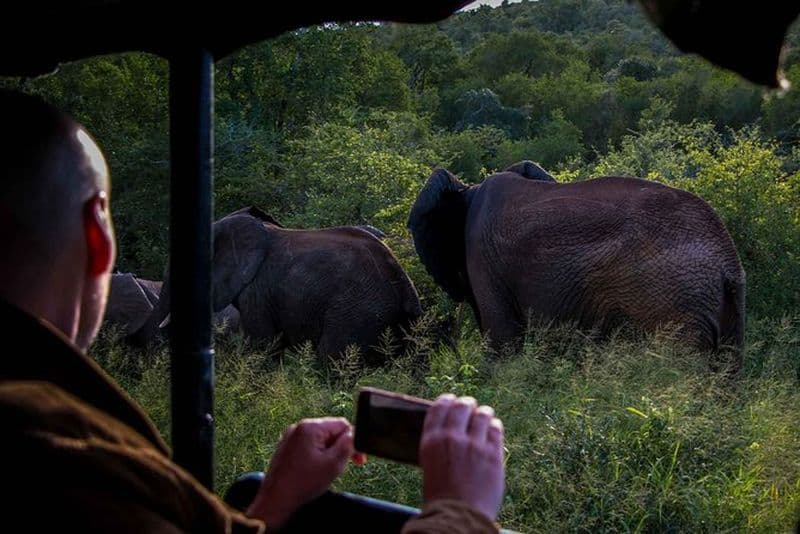 Tour nocturne en jeep dans le parc humide d’iSimangaliso