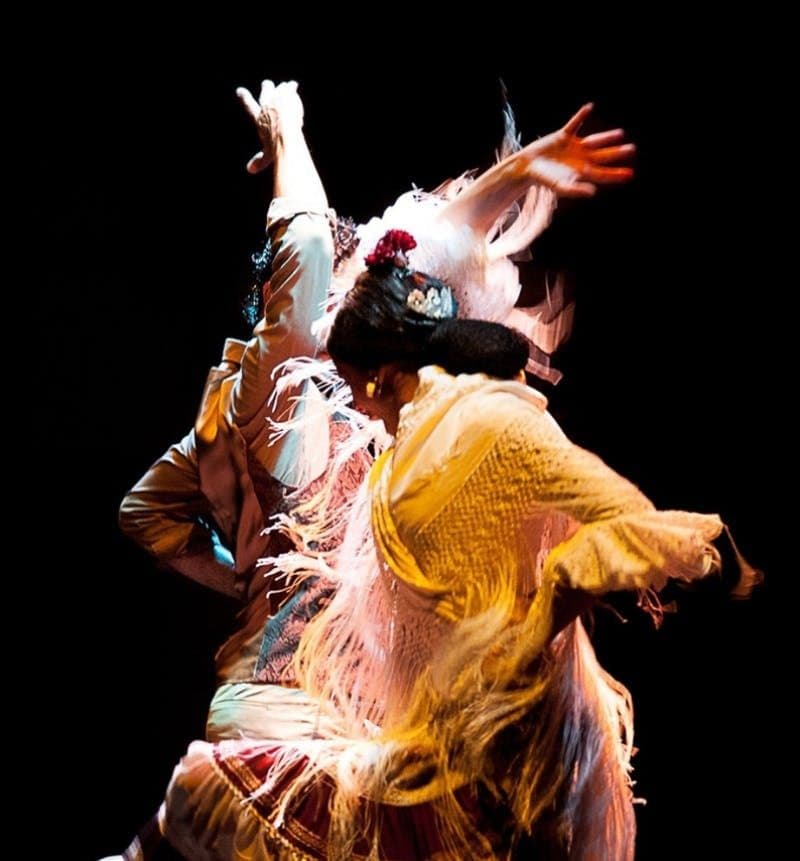 Billet Billets pour le Musée du Flamenco de Séville avec spectacle