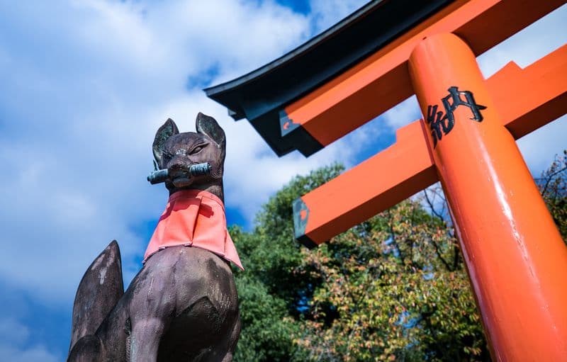 Billet Excursion d’une journée à Kyoto et Nara avec des cerfs mignons