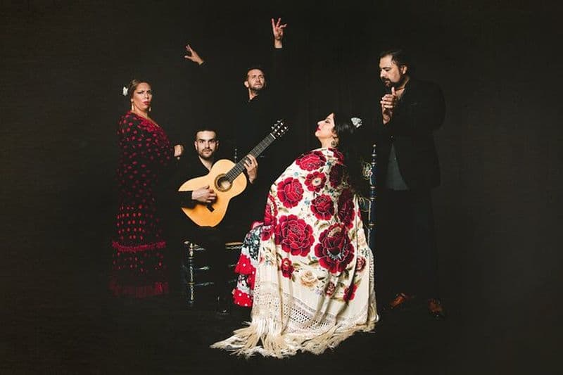 Billet Spectacle de flamenco au Tablao Casa Ana à Grenade
