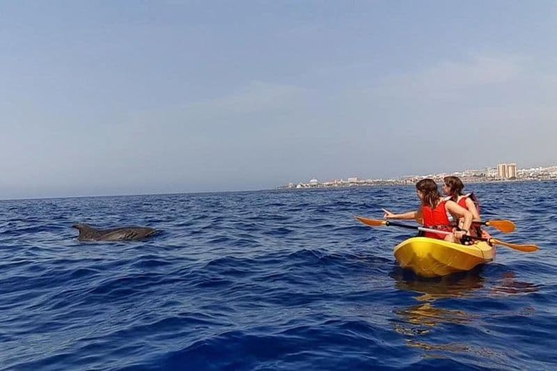 Excursion en kayak et snorkeling à Tenerife