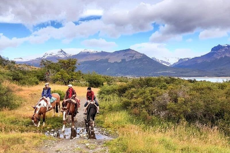 Billet Excursion à l'Estancia Nibepo Aike depuis El Calafate