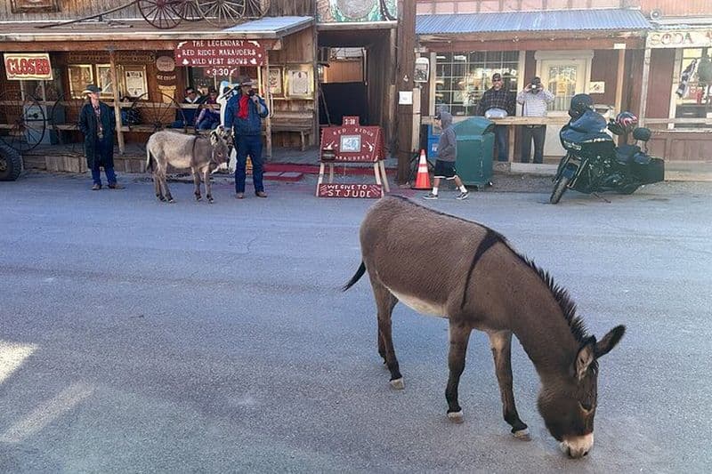 Billet Excursion à Oatman et au Musée de la Route 66 depuis Kingman