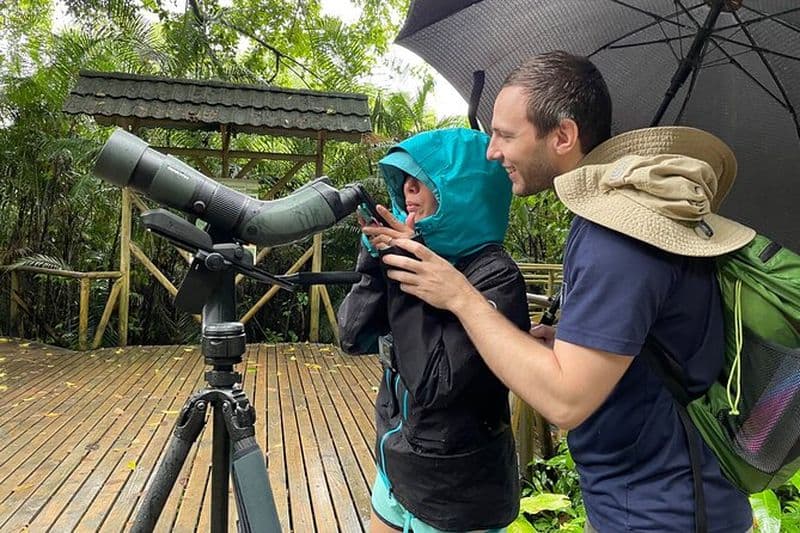 Billet Visite du Parc National Manuel Antonio à Quepos