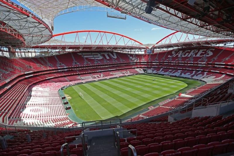 Visite guidée privée du Stade de la Luz et du Musée Benfica à Lisbonne