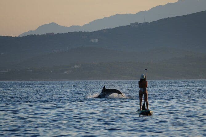 Tour en paddle surf à Olbia