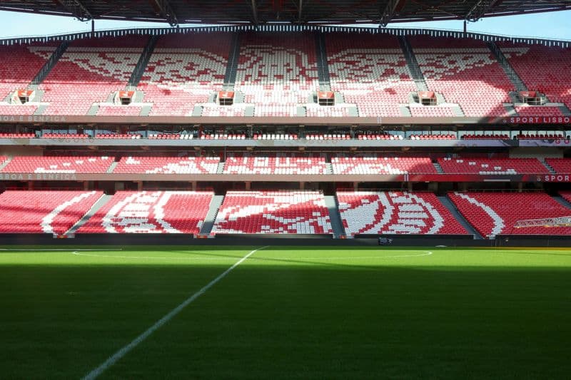 Visite guidée du Stade de la Luz et du Musée Benfica à Lisbonne