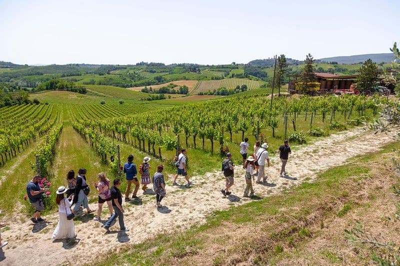 Billet Excursion à Pise, Sienne et San Gimignano depuis Florence avec visite optionnelle de la tour de Pise