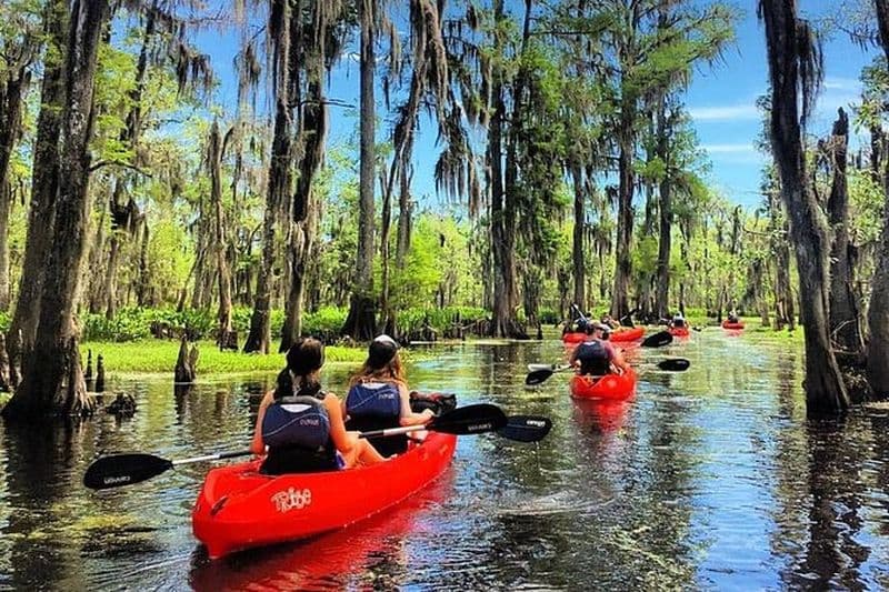 Excursion en kayak dans le marais Manchac depuis la Nouvelle-Orléans