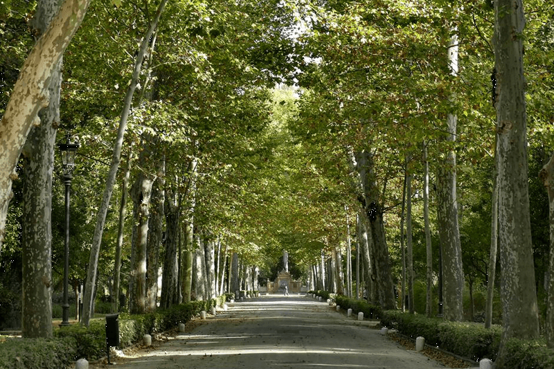 Billet Visite du parc de María Luisa et de la Place d'Espagne à Séville