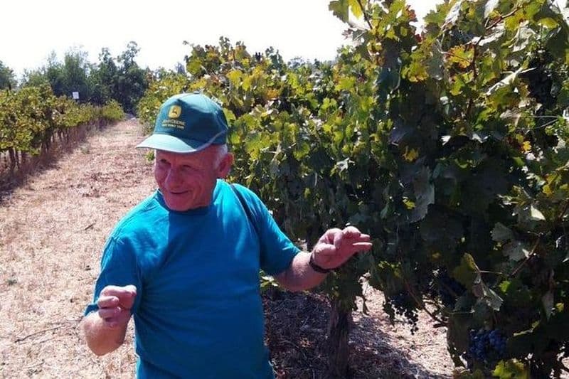 Billet Excursion vinicole dans le nord d'Israël depuis Tel-Aviv