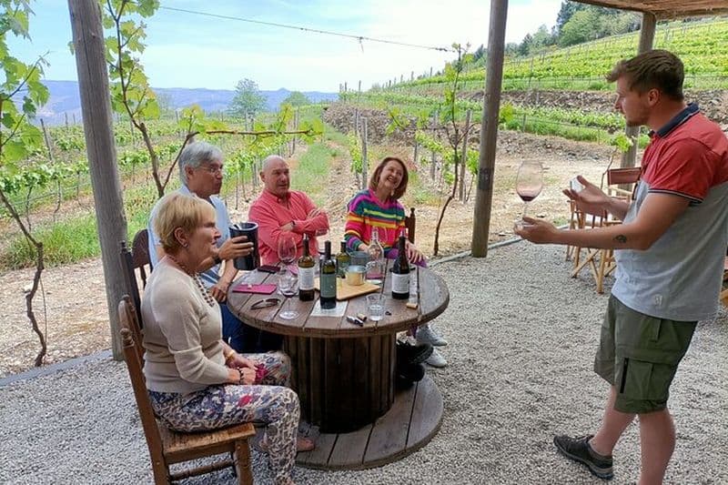 Cours et dégustation de vins à Pinhão